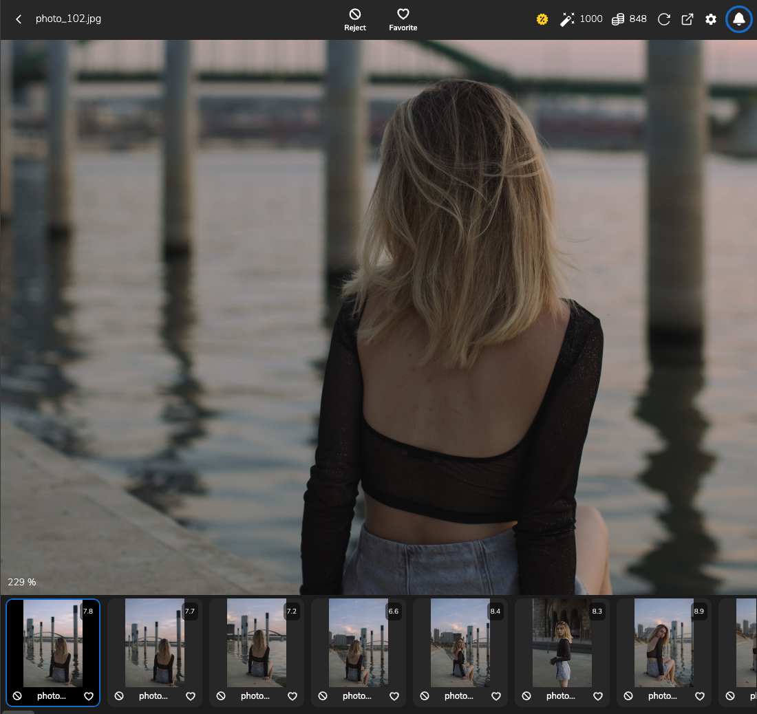 Full-screen mode with a mini-gallery